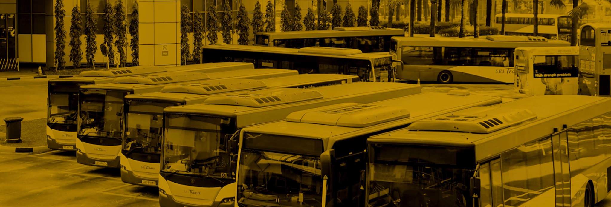 Passenger and transport experience